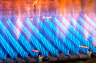 Womersley gas fired boilers